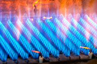 Malden Rushett gas fired boilers